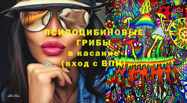 мяу мяу мука Абаза
