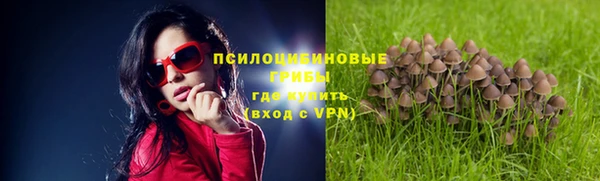 индика Абдулино