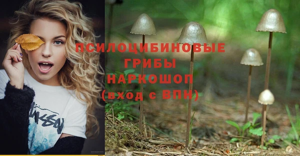 мяу мяу мука Абаза
