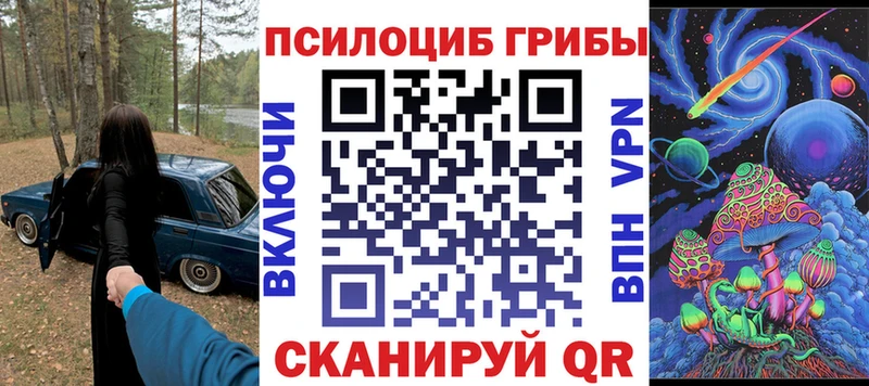 купить закладку  Лесозаводск  Псилоцибиновые грибы Magic Shrooms 